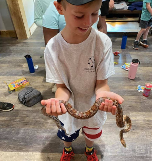 A young boy smiles while holding a snake, wearing a gray shirt and colorful shorts, in a lively indoor setting.