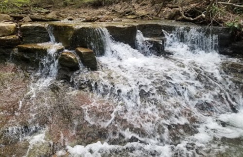 A serene waterfall cascading over rocks in a lush, green forest.