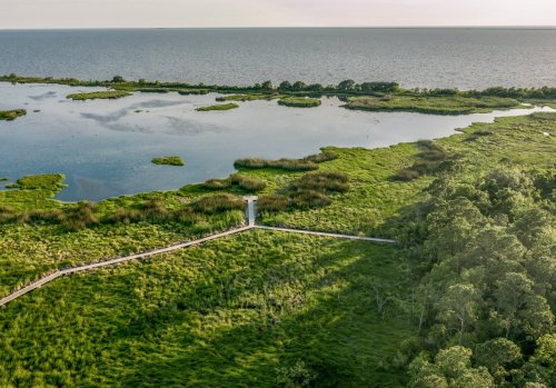 Aerial view of a lush green wetland with a wooden path leading to a serene body of water and distant shoreline.