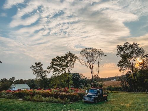 A vintage truck parked near a colorful flower garden under a cloudy sky at sunset.