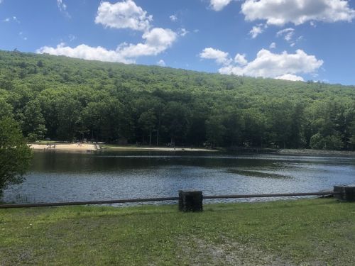 A serene lake surrounded by lush green trees under a blue sky with fluffy clouds, with people enjoying the beach area.
