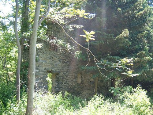 Abandoned stone building partially hidden by trees and overgrown vegetation in a lush green setting.