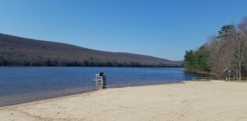 A serene lakeside view with a sandy beach, surrounded by trees and mountains under a clear blue sky.