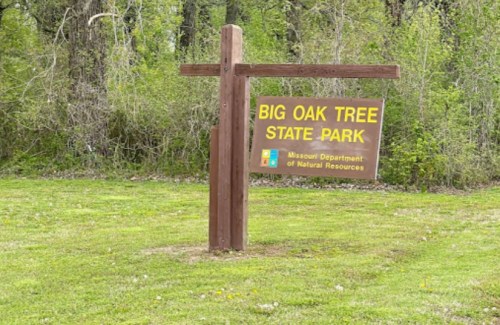 Sign for Big Oak Tree State Park, surrounded by greenery, with a wooden post and grassy area.