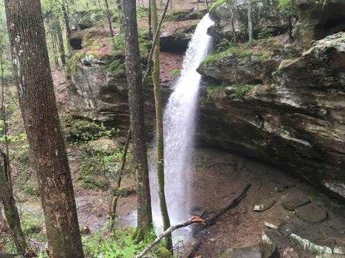 A serene waterfall cascades over rocky cliffs, surrounded by lush greenery and trees in a tranquil forest setting.
