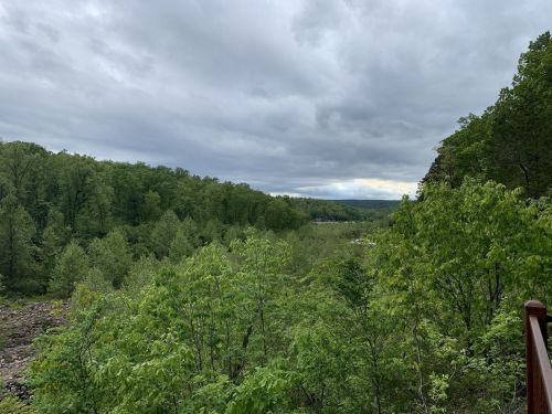 Lush green trees and a cloudy sky stretch across a scenic landscape, with a hint of distant hills in the background.
