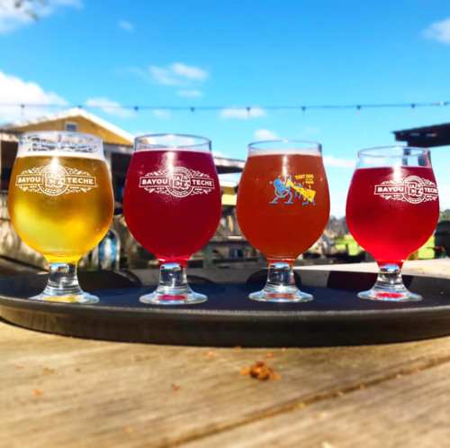 Four glasses of beer on a tray, featuring different colors and styles, set outdoors with a sunny backdrop.