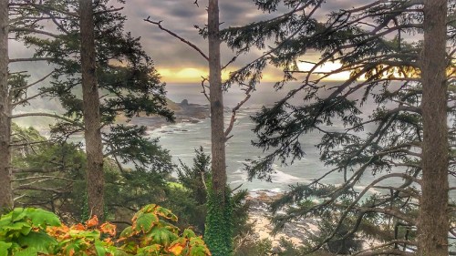 A coastal view framed by tall trees, with waves crashing against the shore under a cloudy sky at sunset.
