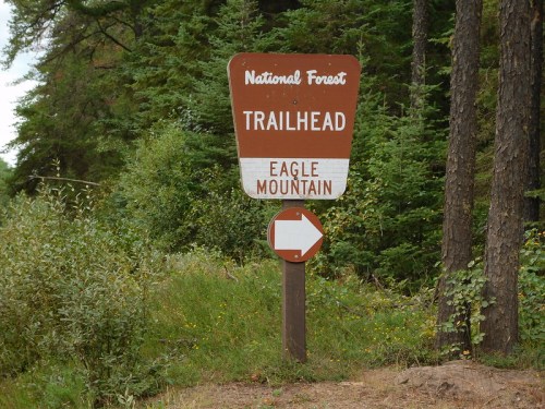 Trailhead sign for Eagle Mountain in a national forest, with a directional arrow pointing right amidst greenery.
