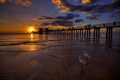 A sunset over a pier with silhouetted people, while two white birds walk along the water's edge.