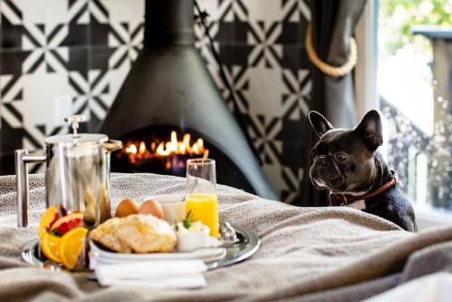 A French Bulldog sits beside a breakfast tray with eggs, fruit, and juice, near a cozy fireplace.