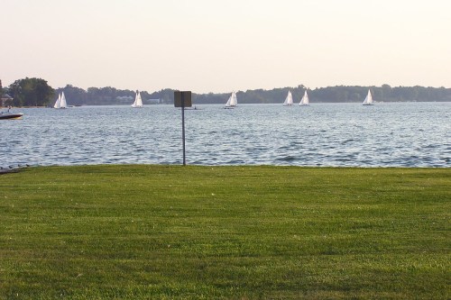A serene lake scene with several sailboats on the water, framed by lush green grass in the foreground.