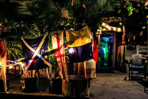 Colorful flags hang in a tropical setting, illuminated by soft lights amidst lush greenery at night.