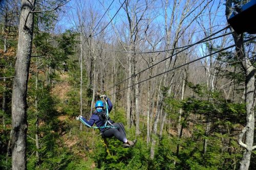 A person zip-lining through a forest, wearing a helmet and harness, surrounded by trees and clear blue sky.