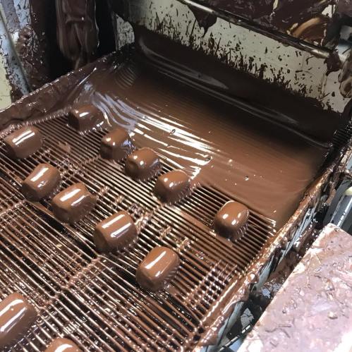Chocolate confections being coated in liquid chocolate on a conveyor belt.
