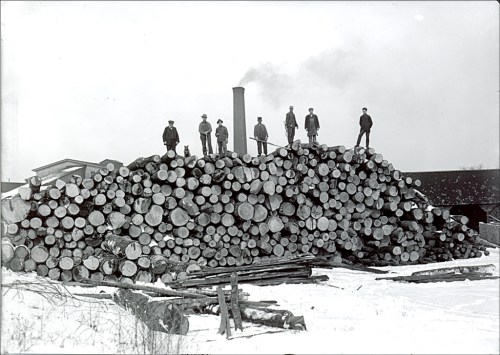 A group of people standing on a large pile of logs in a snowy landscape, with a chimney emitting smoke in the background.