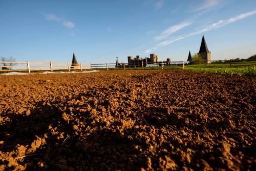 A close-up of brown soil with a castle in the background under a clear blue sky.