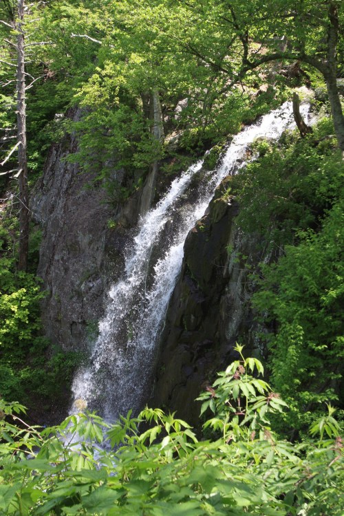 A cascading waterfall flows down rocky terrain, surrounded by lush green foliage and trees.