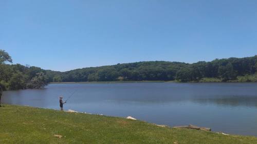 A person fishing by a calm lake surrounded by lush green trees under a clear blue sky.