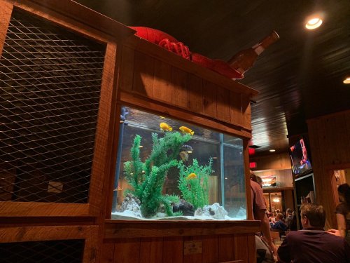 A wooden fish tank with colorful fish, topped with a lobster and a bottle, in a lively restaurant setting.