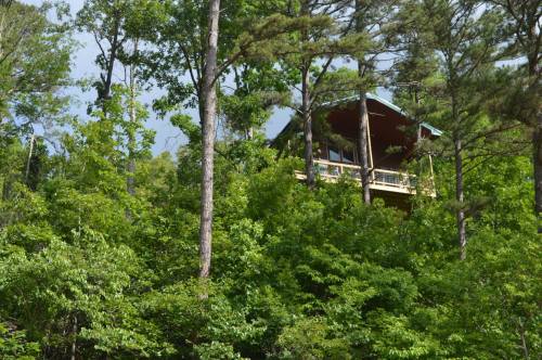 A treehouse nestled among tall green trees, surrounded by lush foliage and a clear blue sky.