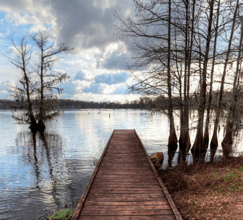 A wooden dock extends over a calm lake, surrounded by trees and a cloudy sky reflecting on the water's surface.