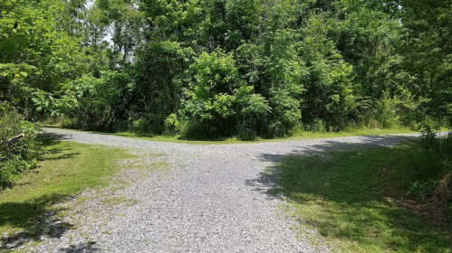 A gravel path splits into two directions, surrounded by lush green trees and foliage.