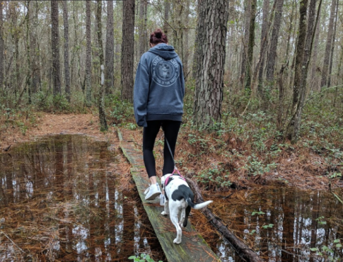 A person in a hoodie walks a dog along a wooden path through a forest with standing water.
