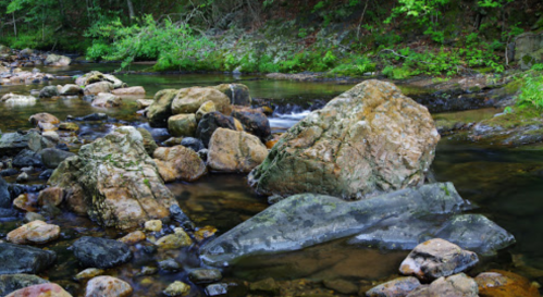 A serene stream flows over smooth rocks, surrounded by lush greenery and trees.