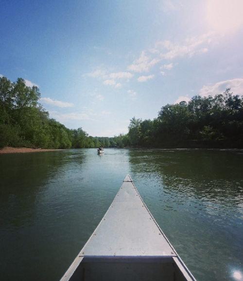 A canoe glides down a calm river, surrounded by lush green trees under a bright blue sky.