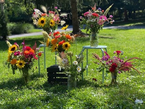 A vibrant display of assorted flowers in jars, arranged on green stools in a sunny outdoor setting.