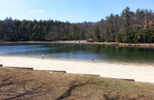 A serene lake surrounded by trees, with a sandy beach and a clear blue sky in the background.