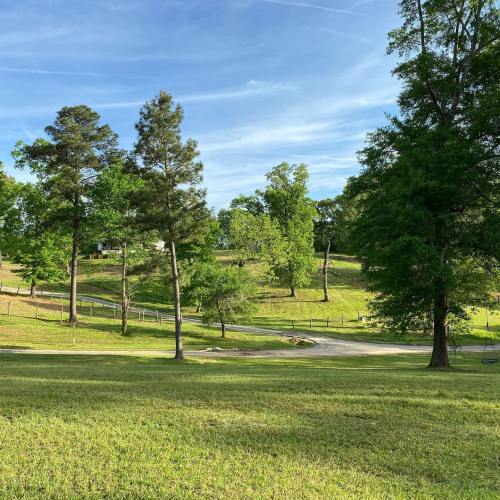 A serene landscape featuring green trees and a grassy area under a clear blue sky.