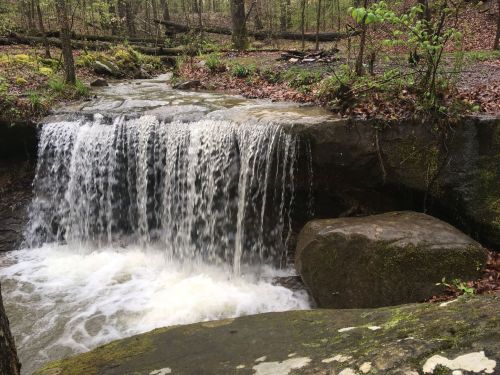 A small waterfall cascades over rocks in a lush, green forest, surrounded by trees and fallen leaves.
