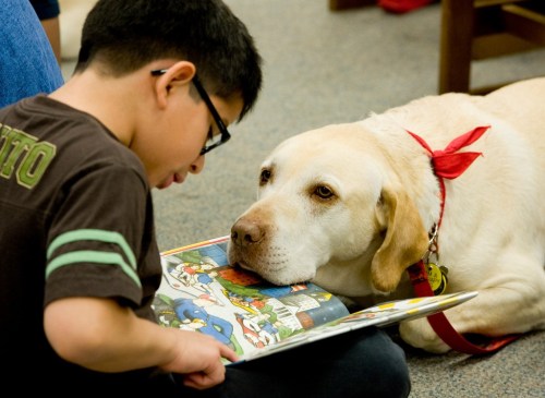 A child reads a book while a yellow labrador rests its head on the pages, both engaged in the moment.