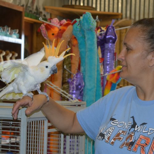 A woman interacts with a white cockatoo perched on her arm in a colorful pet store.