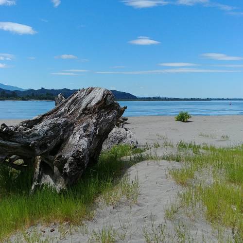 A sandy beach with driftwood, green grass, and a calm river under a blue sky with scattered clouds.