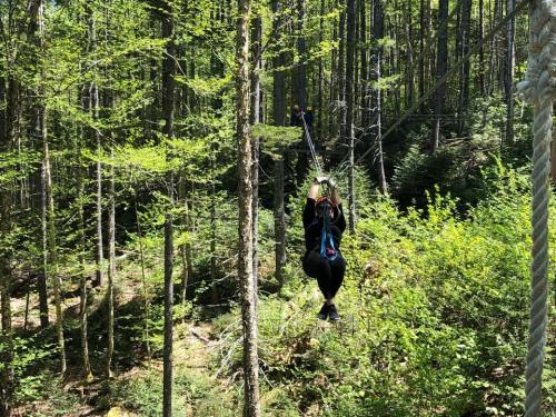 A person in a black wetsuit zip-lining through a lush green forest surrounded by tall trees.