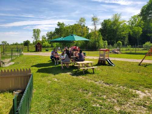 A group of people sitting at a picnic table under an umbrella in a grassy area with trees and a playground nearby.