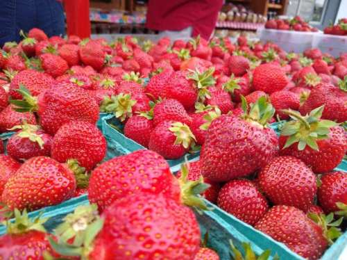 Fresh, vibrant strawberries piled in green containers at a market, showcasing their bright red color and green leaves.
