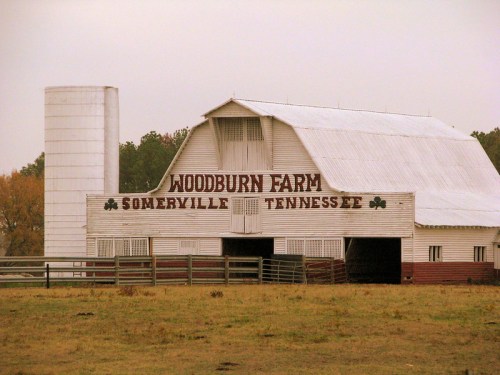 A white barn with "Woodburn Farm" written on it, surrounded by a grassy field and a silo in the background.