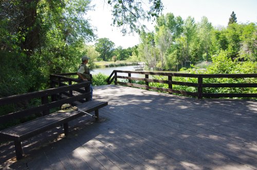 A person stands on a wooden deck overlooking a serene pond surrounded by lush greenery and trees.
