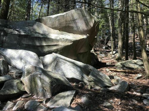 Large, weathered boulders surrounded by trees and forest floor debris in a natural outdoor setting.