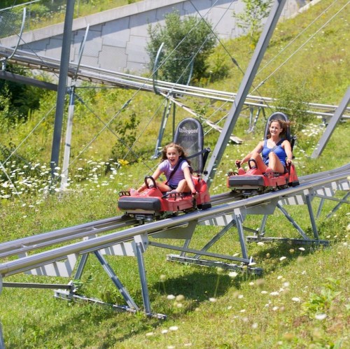 Two girls joyfully ride down a summer alpine coaster on a sunny day, surrounded by green grass and wildflowers.