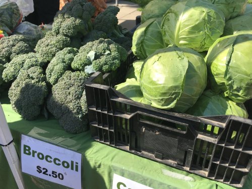Fresh broccoli and green cabbage displayed at a market, with prices labeled on a green tablecloth.