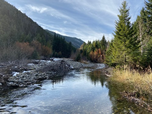 A serene river flows through a forested landscape, surrounded by mountains and trees, under a blue sky.