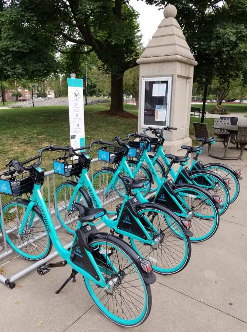 A row of turquoise rental bikes parked at a bike station in a park, with trees and seating in the background.