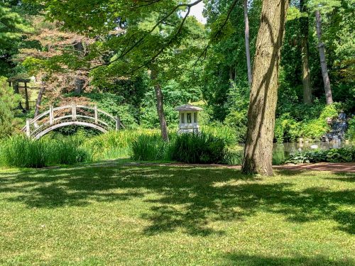 A serene garden scene featuring a wooden bridge, a gazebo, and lush greenery surrounding a calm pond.