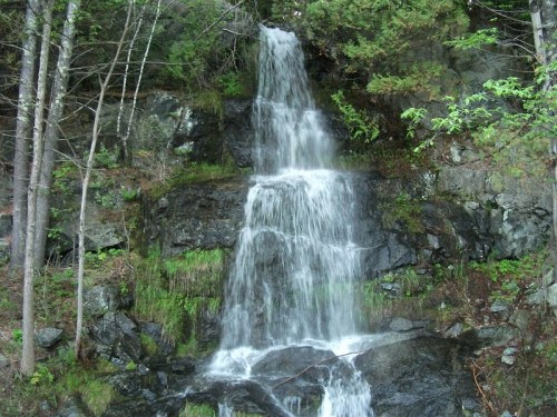 A serene waterfall cascading down rocky terrain, surrounded by lush green trees and foliage.