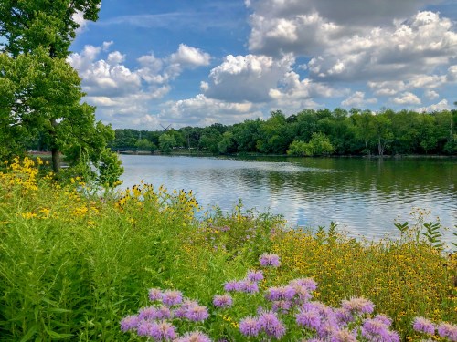 A serene river scene with lush greenery and colorful wildflowers under a partly cloudy sky.